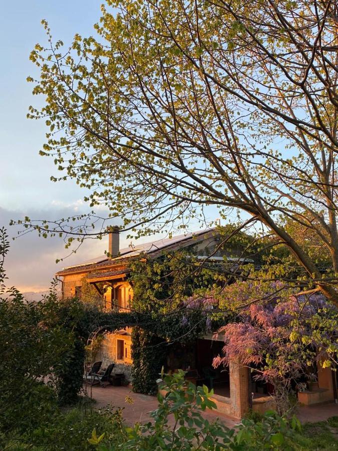 Agriturismo Solidor 피틸리아노 외부 사진