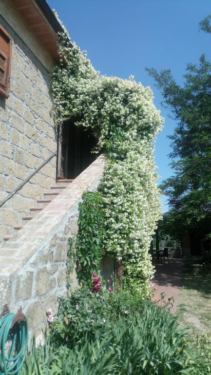 Agriturismo Solidor 피틸리아노 외부 사진