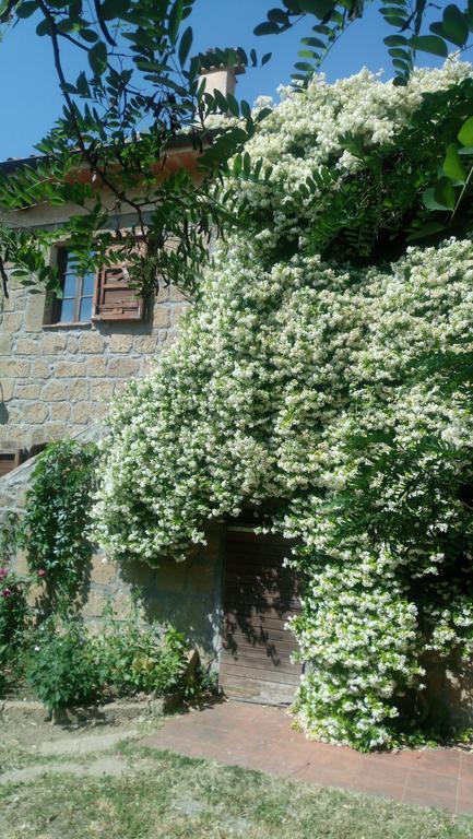 Agriturismo Solidor 피틸리아노 외부 사진